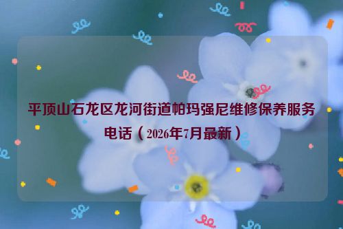 平顶山石龙区龙河街道帕玛强尼维修保养服务电话（2026年7月最新）