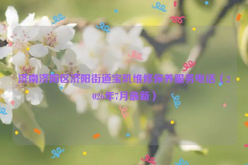 济南济阳区济阳街道宝玑维修保养服务电话（2026年7月最新）
