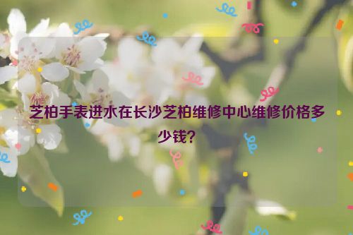 芝柏手表进水在长沙芝柏维修中心维修价格多少钱?