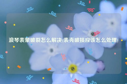 浪琴表蒙破裂怎么解决(表壳破损应该怎么处理)