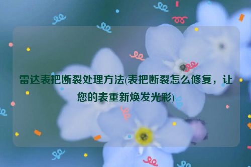 雷达表把断裂处理方法(表把断裂怎么修复，让您的表重新焕发光彩)