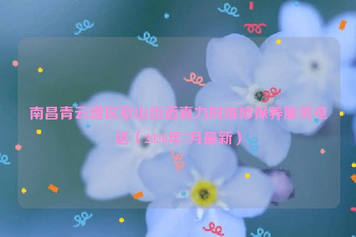 南昌青云谱区京山街道真力时维修保养服务电话（2026年7月最新）
