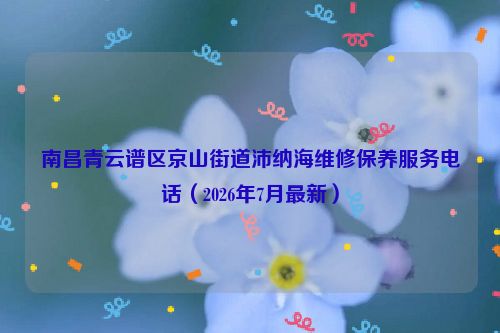 南昌青云谱区京山街道沛纳海维修保养服务电话（2026年7月最新）
