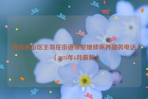 青岛崂山区王哥庄街道帝舵维修保养服务电话（2026年6月最新）