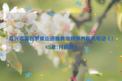 嘉兴嘉善县罗星街道雅典维修保养服务电话（2026年7月最新）