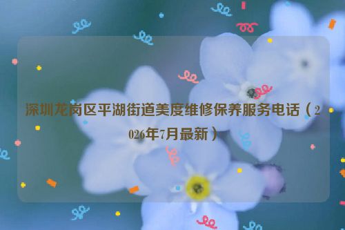 深圳龙岗区平湖街道美度维修保养服务电话（2026年7月最新）