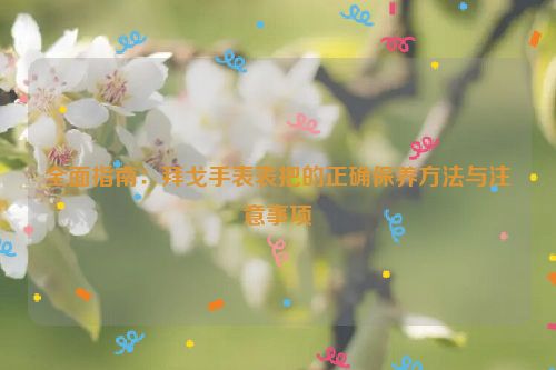 全面指南：拜戈手表表把的正确保养方法与注意事项