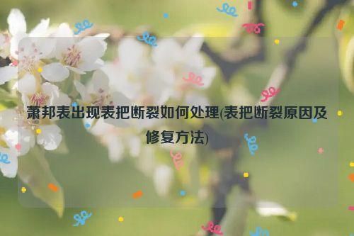 萧邦表出现表把断裂如何处理(表把断裂原因及修复方法)