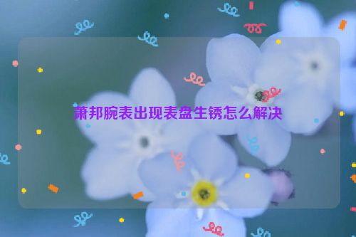 萧邦腕表出现表盘生锈怎么解决