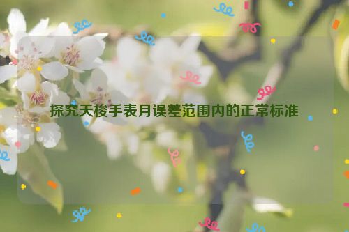 探究天梭手表月误差范围内的正常标准