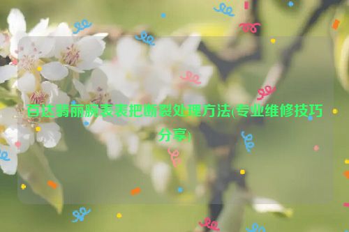 百达翡丽腕表表把断裂处理方法(专业维修技巧分享)