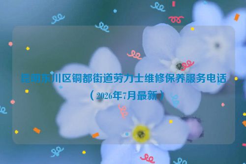 昆明东川区铜都街道劳力士维修保养服务电话(2026年7月最新)