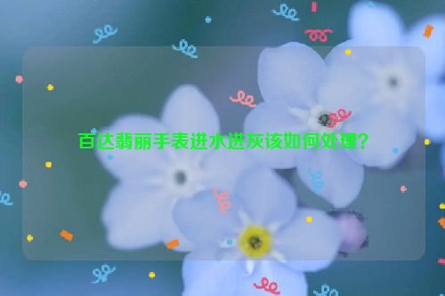 百达翡丽手表进水进灰该如何处理？