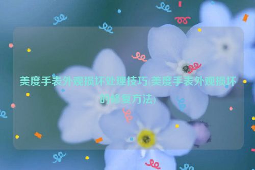 美度手表外观损坏处理技巧(美度手表外观损坏的修复方法)
