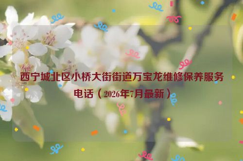 西宁城北区小桥大街街道万宝龙维修保养服务电话（2026年7月最新）