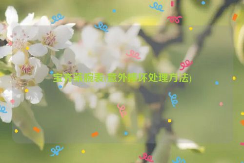 宝齐莱腕表(意外摔坏处理方法)