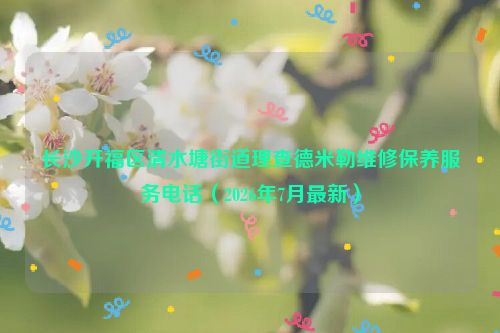 长沙开福区清水塘街道理查德米勒维修保养服务电话（2026年7月最新）
