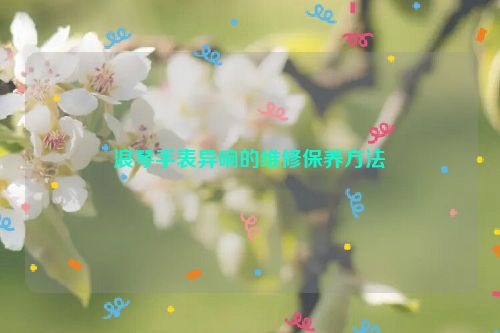 浪琴手表异响的维修保养方法