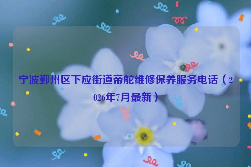 宁波鄞州区下应街道帝舵维修保养服务电话（2026年7月最新）