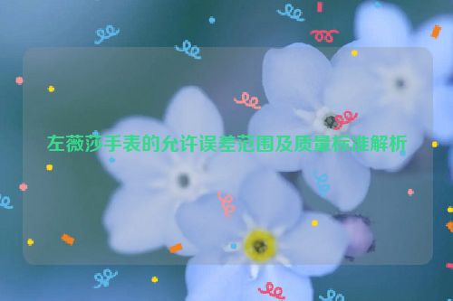 左薇莎手表的允许误差范围及质量标准解析