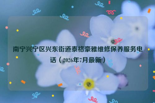 南宁兴宁区兴东街道泰格豪雅维修保养服务电话（2026年7月最新）