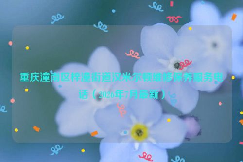 重庆潼南区梓潼街道汉米尔顿维修保养服务电话（2026年7月最新）