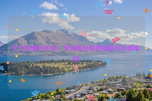 七个星期五手表：专业表针保养指南与注意事项