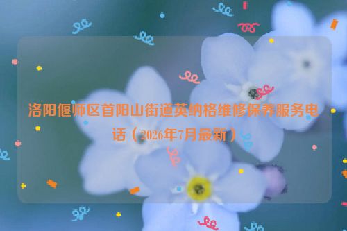 洛阳偃师区首阳山街道英纳格维修保养服务电话（2026年7月最新）