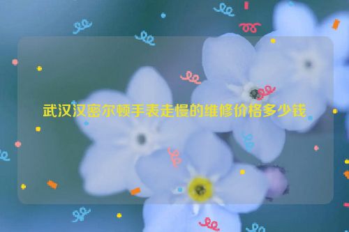 武汉汉密尔顿手表走慢的维修价格多少钱