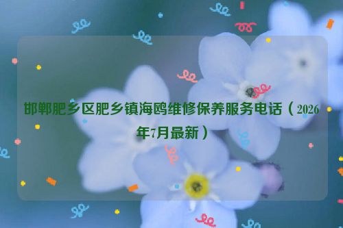 邯郸肥乡区肥乡镇海鸥维修保养服务电话（2026年7月最新）